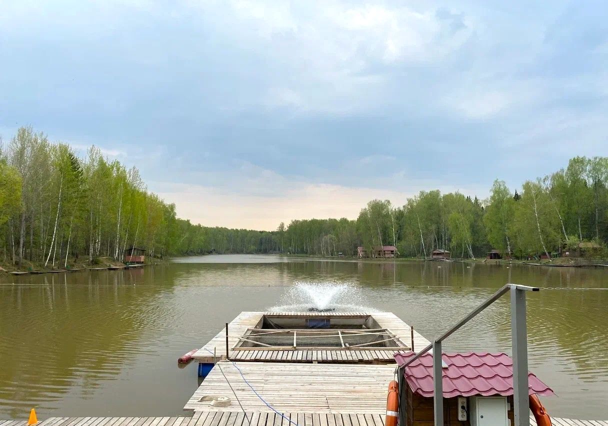 земля городской округ Богородский д Кутузово 26 км, г. о. Домодедово, Новокаширское шоссе фото 6