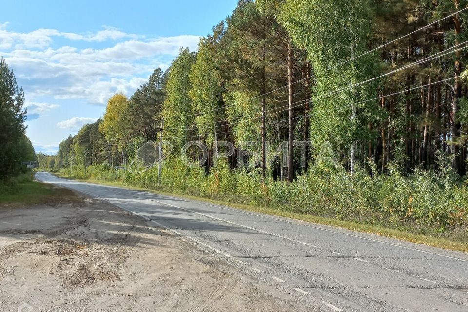 земля р-н Нижнетавдинский село Тюнево фото 8