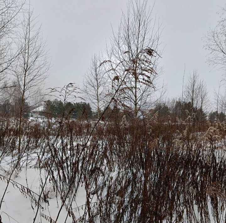 офис городской округ Павловский Посад д Гаврино 40 фото 1