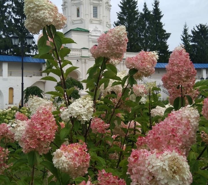 квартира г Рязань р-н Советский ул Мещерская 16к/1 городской округ Рязань фото 2