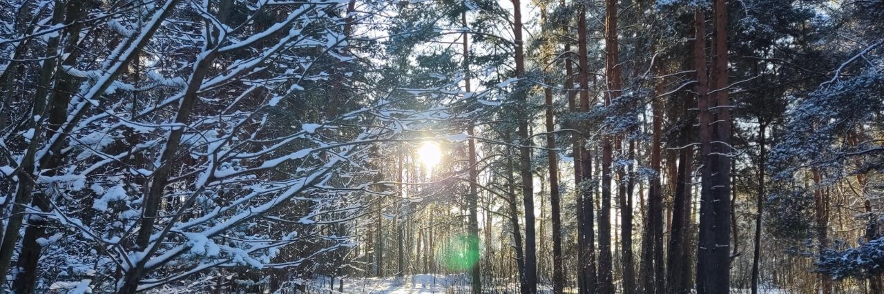 земля городской округ Богородский г Электроугли Железнодорожная фото 1