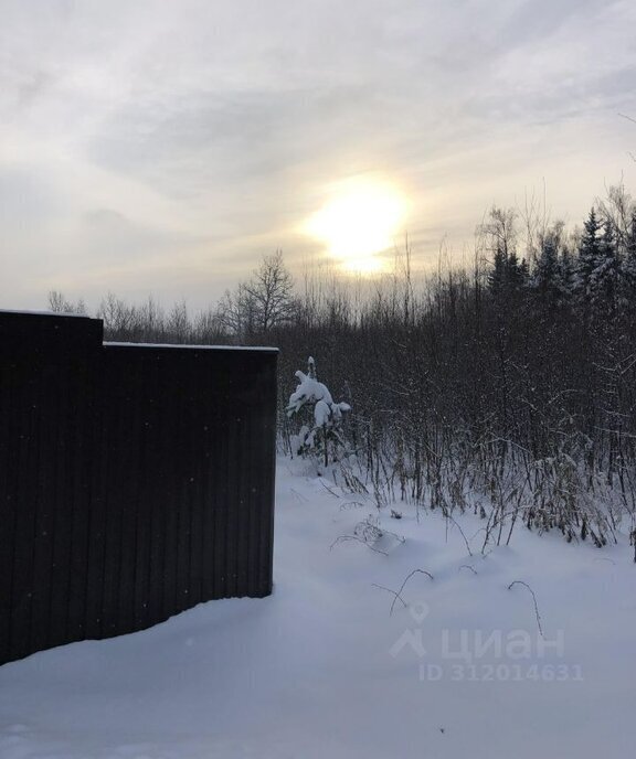 земля городской округ Дмитровский д Сафоново фото 4