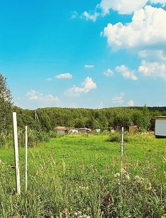 земля р-н Богородский д Трестьяны ул Цветочная фото 8