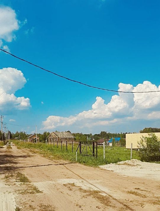 земля р-н Богородский д Трестьяны ул Цветочная фото 10