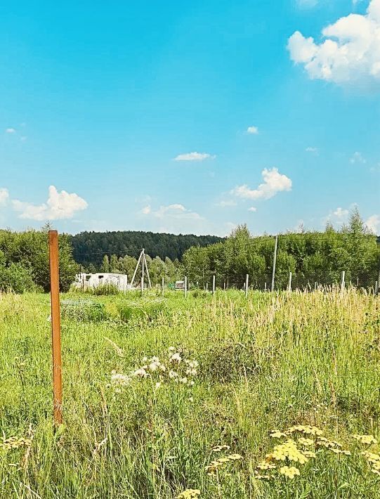 земля р-н Богородский д Хабарское фото 3