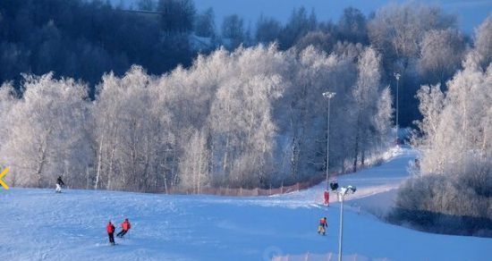 земля р-н Богородский д Трестьяны ул Цветочная фото 21