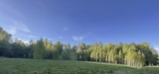 снт Уютный Сергиево-Посадский городской округ фото