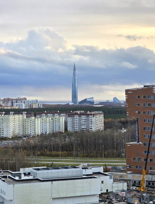 квартира г Санкт-Петербург метро Комендантский Проспект ул Плесецкая 10 фото 9