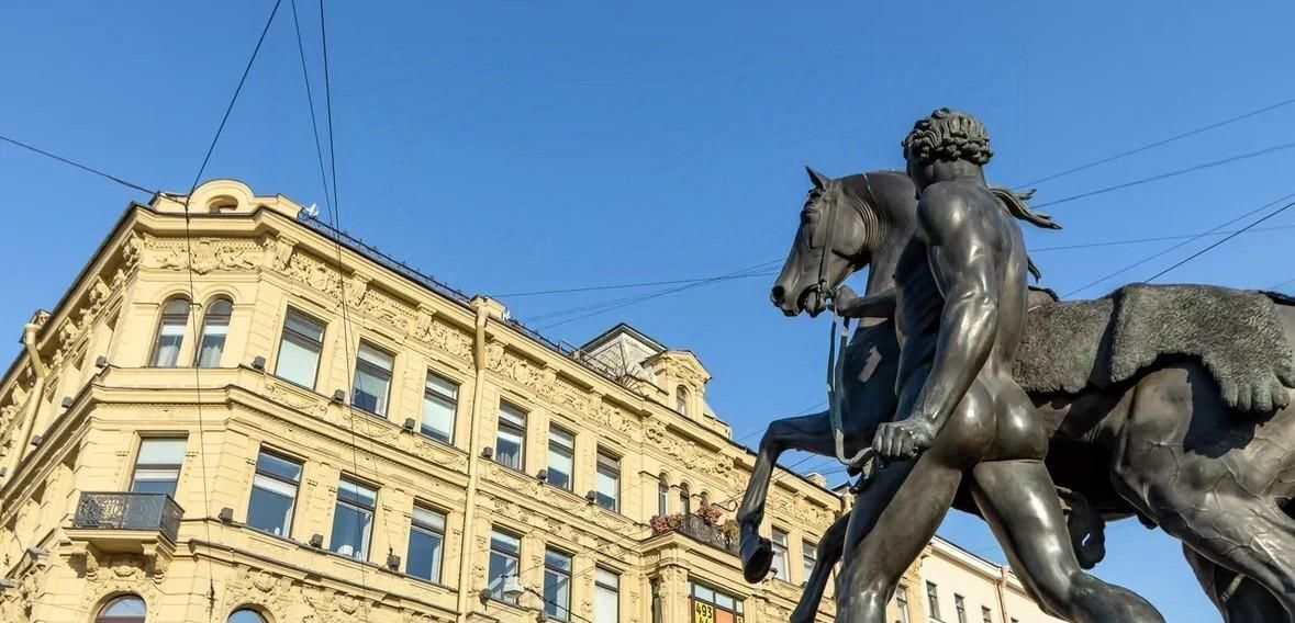 квартира г Санкт-Петербург метро Гостиный Двор наб Реки Фонтанки 29/66 Дворцовый округ фото 25