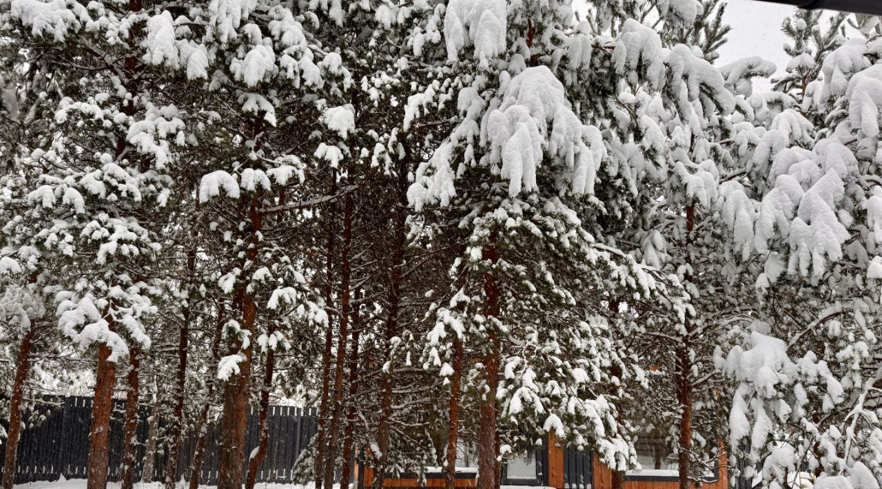 дом р-н Лужский снт Жемчужина Сертоловское городское поселение, 833, Всеволожский район, Северная фото 10