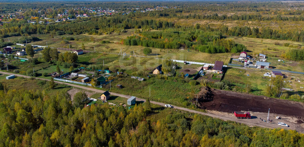 земля р-н Нижнетавдинский снт Стройтранссервис ул Рябиновая фото 6