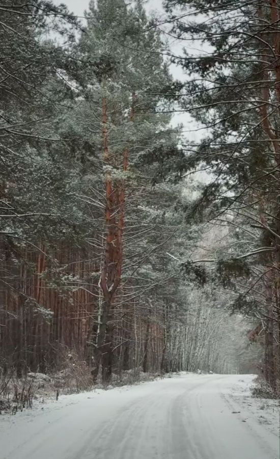 земля г Ульяновск р-н Ленинский снт Залив-2 фото 1