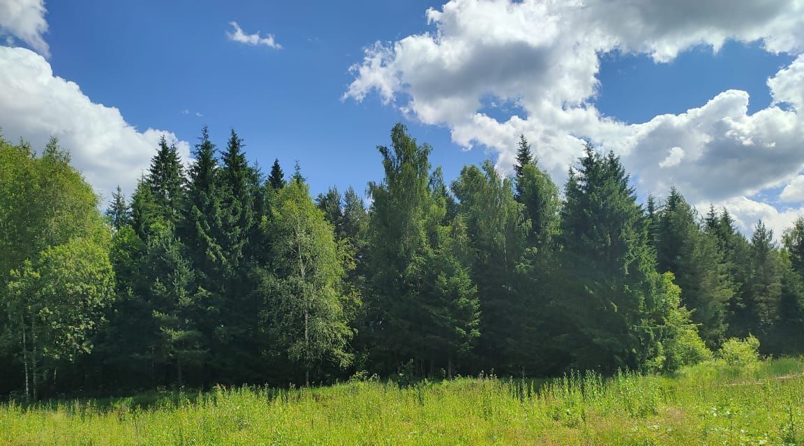 земля городской округ Раменский Гжельский лес кп фото 4