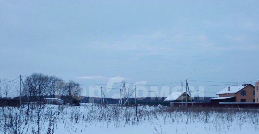 земля городской округ Коломенский д Молитвино Коломна городской округ фото 5