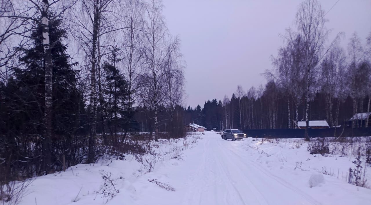 земля городской округ Раменский Гжельский лес кп фото 10