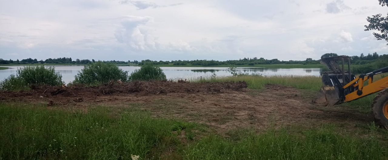 земля р-н Новгородский д Сергово Борковское сельское поселение, Панковка фото 2