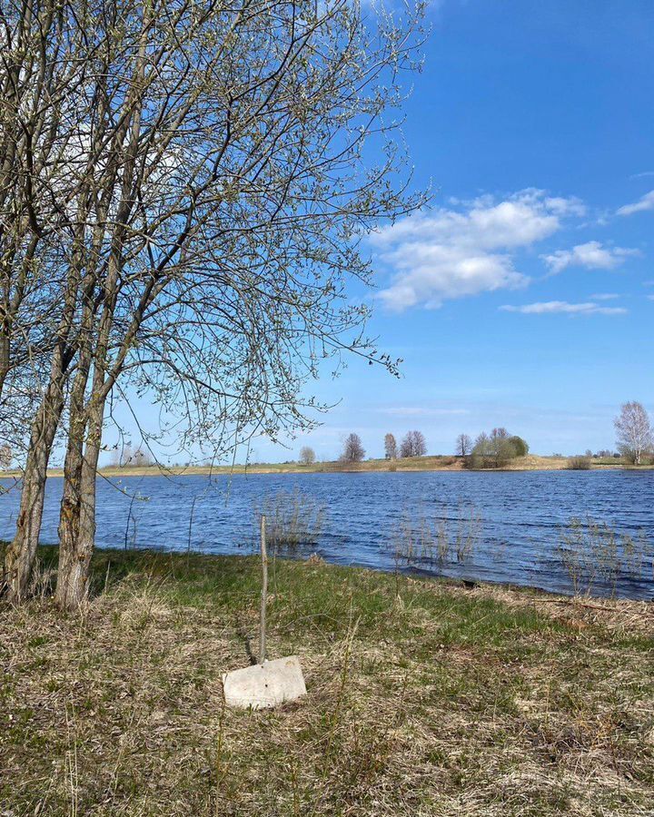 земля р-н Новгородский д Сергово Борковское сельское поселение, Панковка фото 3