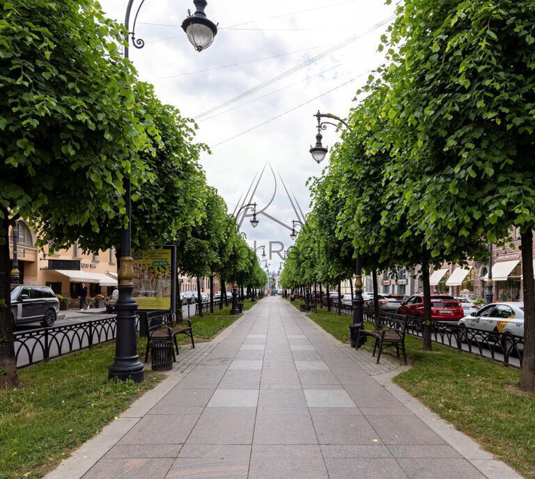 квартира г Санкт-Петербург метро Чернышевская пр-кт Чернышевского 4 округ Смольнинское фото 14