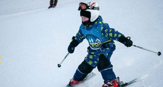 земля р-н Богородский д Подъяблонное фото 19