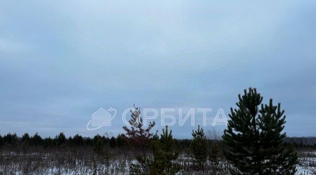 с Горьковка ул Сибирская Горьковское сельское поселение фото