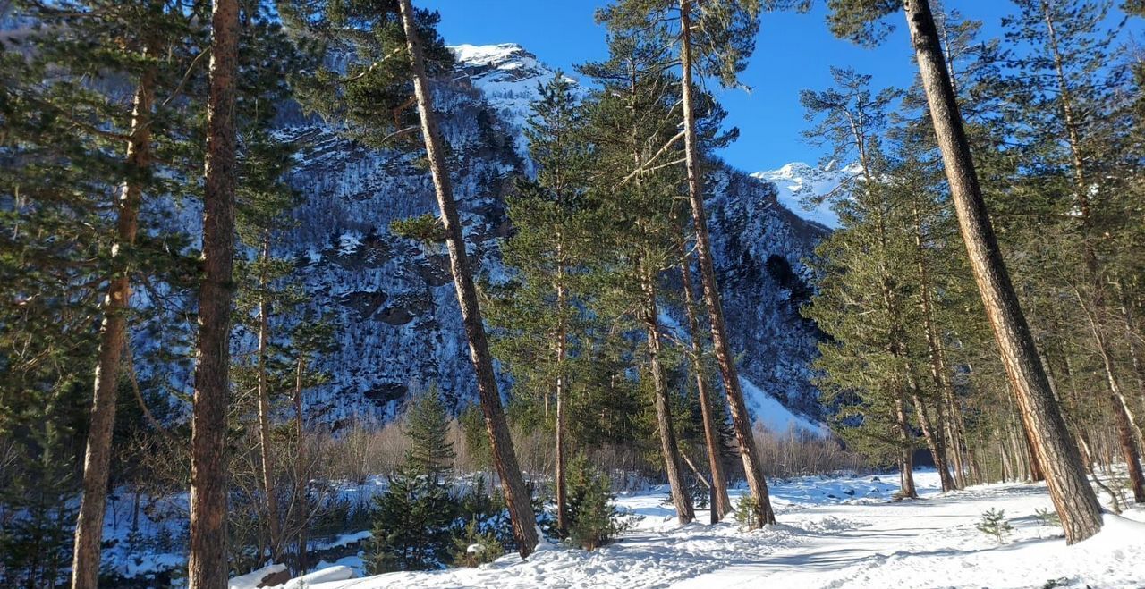 земля р-н Эльбрусский с Терскол Эльбрус фото 2