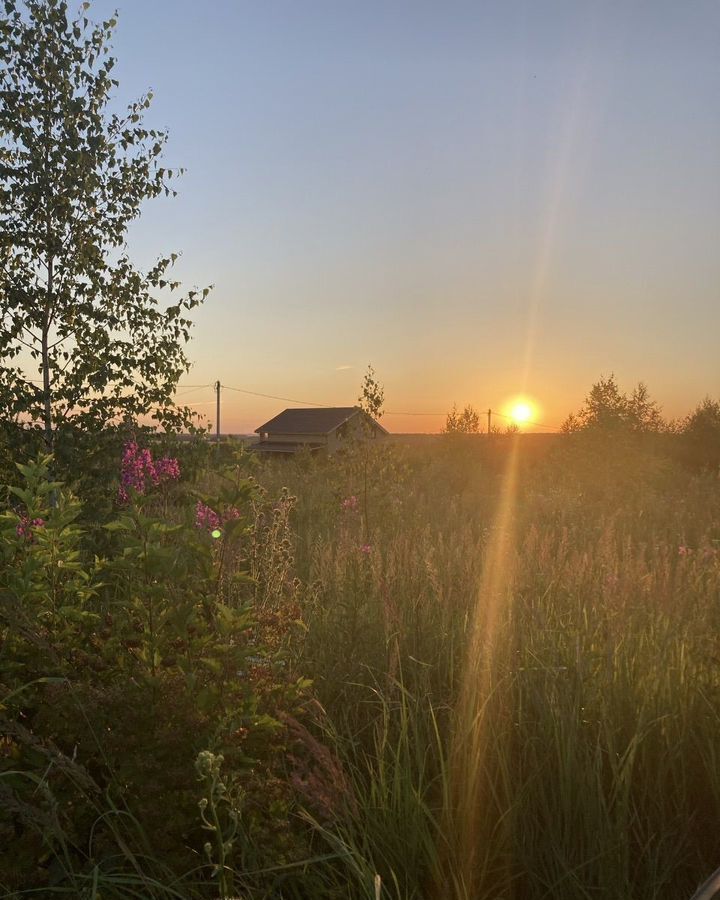 земля р-н Богородский д Пантелеево Центральный фото 1