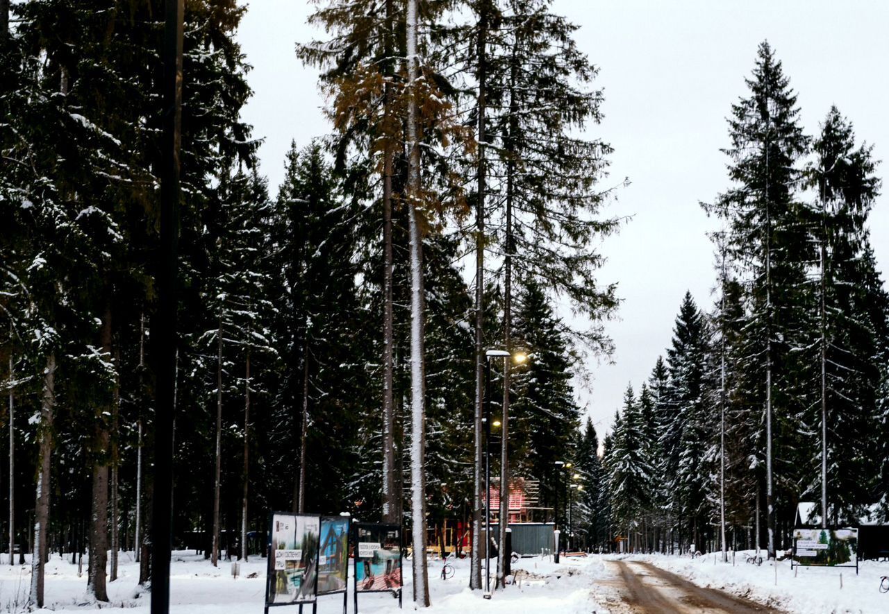 земля городской округ Солнечногорск д Замятино 53 км, 4А, Солнечногорск, Ленинградское шоссе фото 15