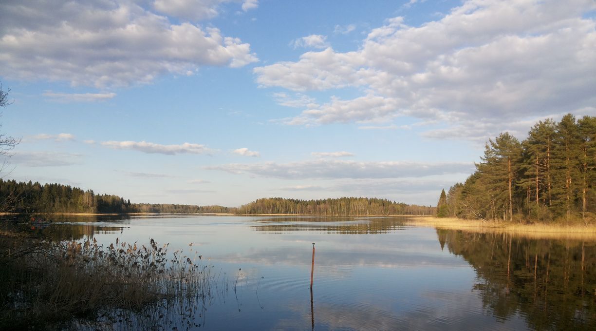 дом р-н Осташковский г Осташков д Заборки фото 6