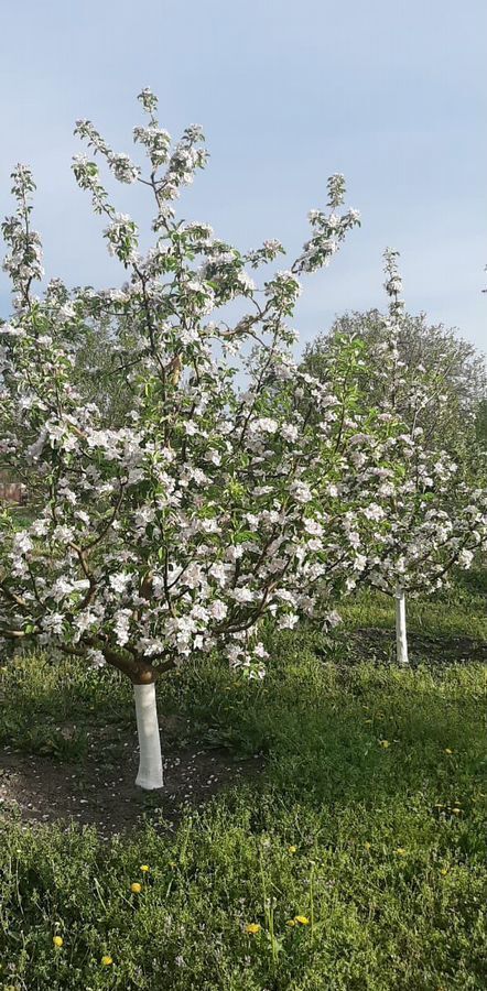 дом р-н Абазинский аул Псыж Псыж, Псыжское сельское поселение фото 6