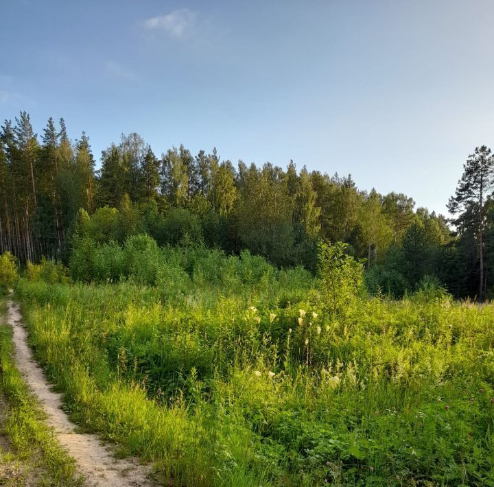 земля г Ревда с Кунгурка ул Малахитовая фото 1