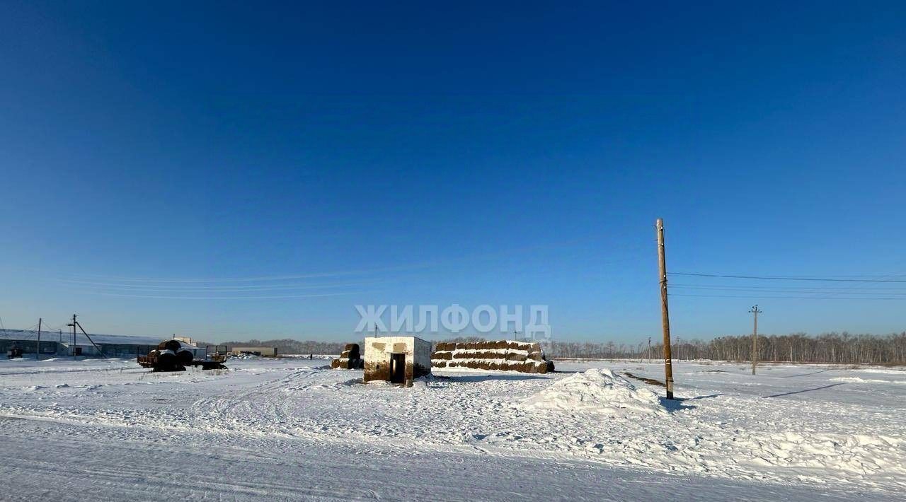 земля р-н Коченевский д Чик ул Новая фото 1