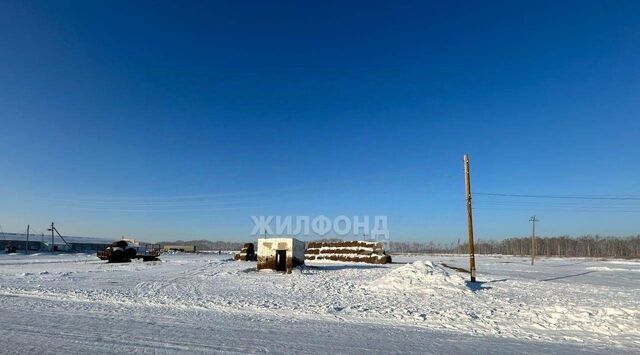 земля р-н Коченевский д Чик ул Новая фото