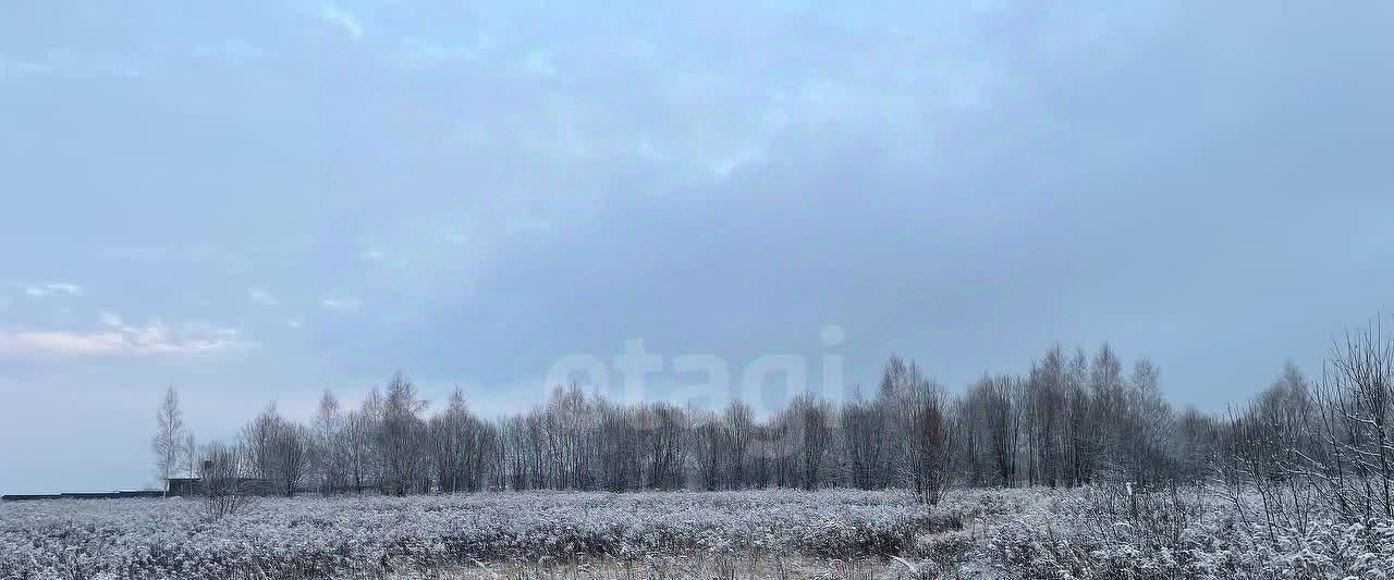 земля р-н Ленинский с Федоровка ул Механизаторов Тула городской округ фото 1