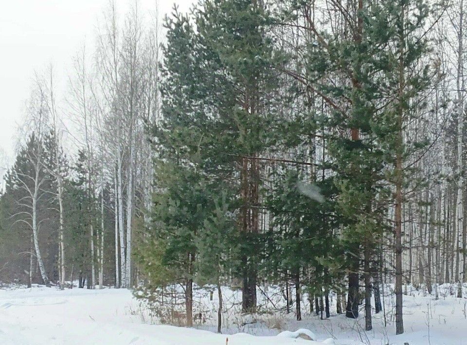 земля р-н Белоярский п Гагарский ул 3-я Парковая загородный комплекс Лайф тер. фото 2