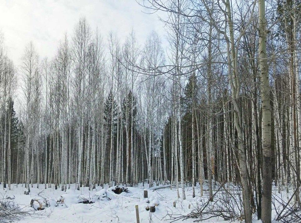 земля р-н Белоярский п Гагарский ул 3-я Парковая загородный комплекс Лайф тер. фото 3