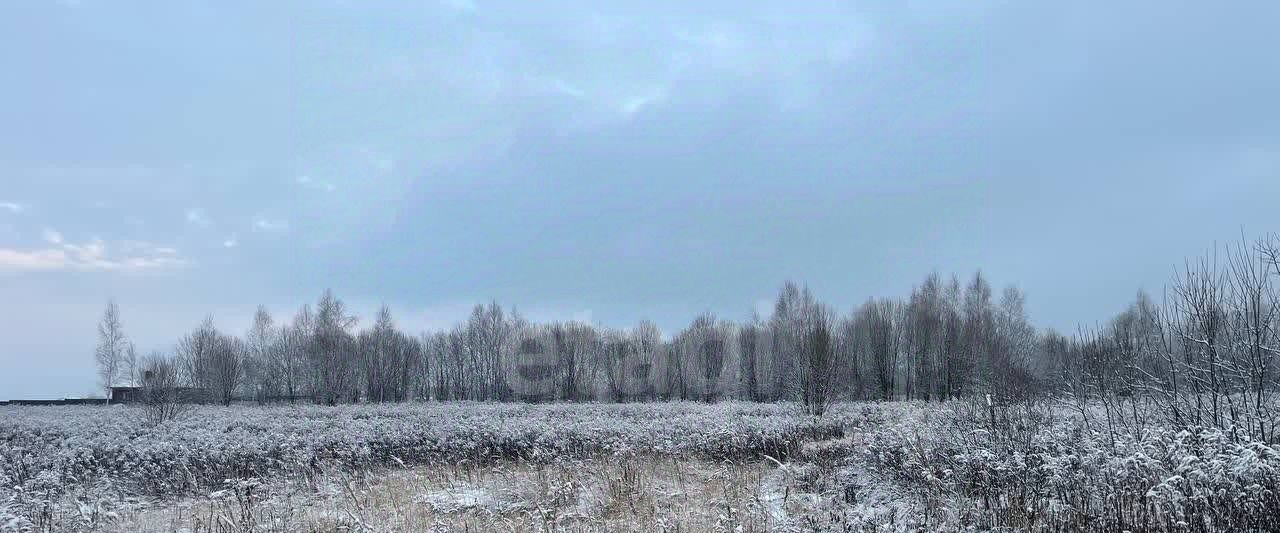 земля р-н Ленинский с Федоровка ул Механизаторов Тула городской округ фото 2