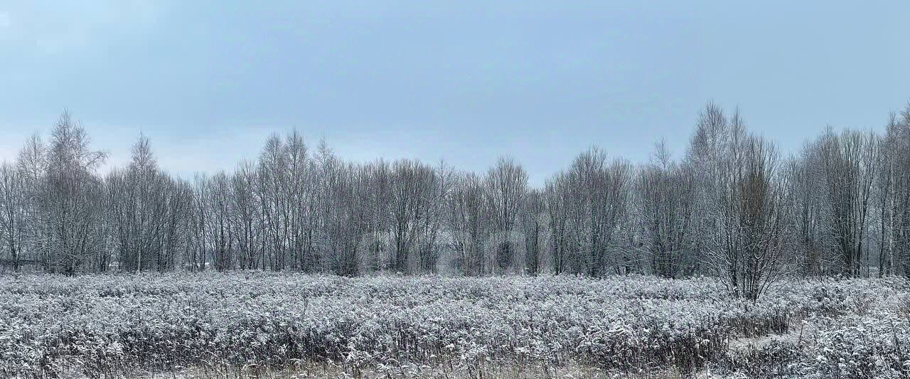 земля р-н Ленинский с Федоровка ул Механизаторов Тула городской округ фото 3