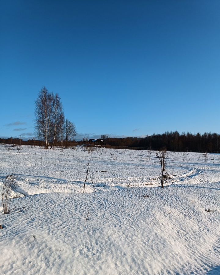 земля городской округ Волоколамский д Становище 93 км, мкр-н Озёрный-1, 2, Волоколамск, Новорижское шоссе фото 1