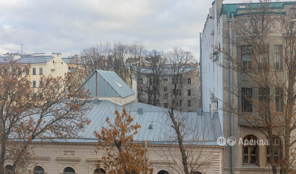 квартира г Санкт-Петербург метро Василеостровская линия 5-я В.О. 30 Васильевского острова фото 15