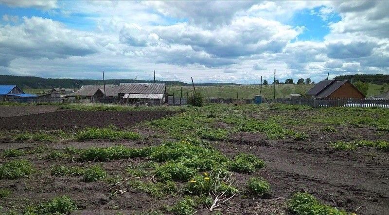 дом р-н Большемуртинский с Еловка ул Центральная Еловский сельсовет фото 4