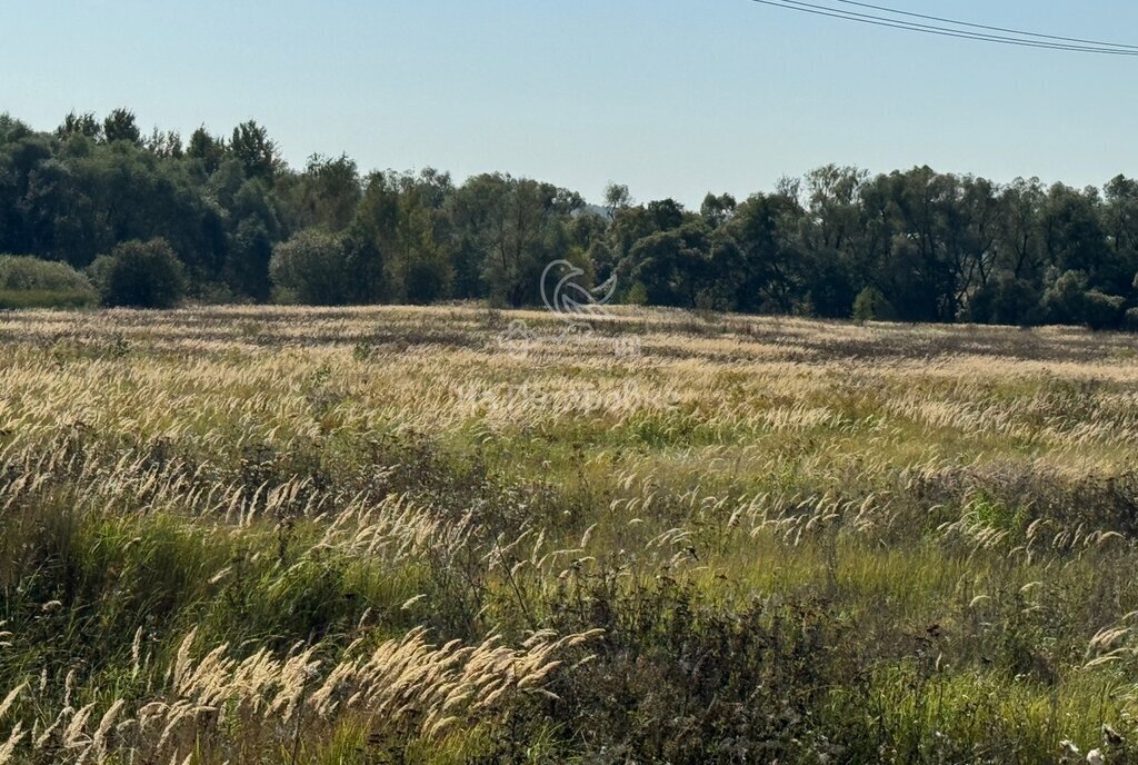 земля городской округ Ступино с Мещерино фото 1