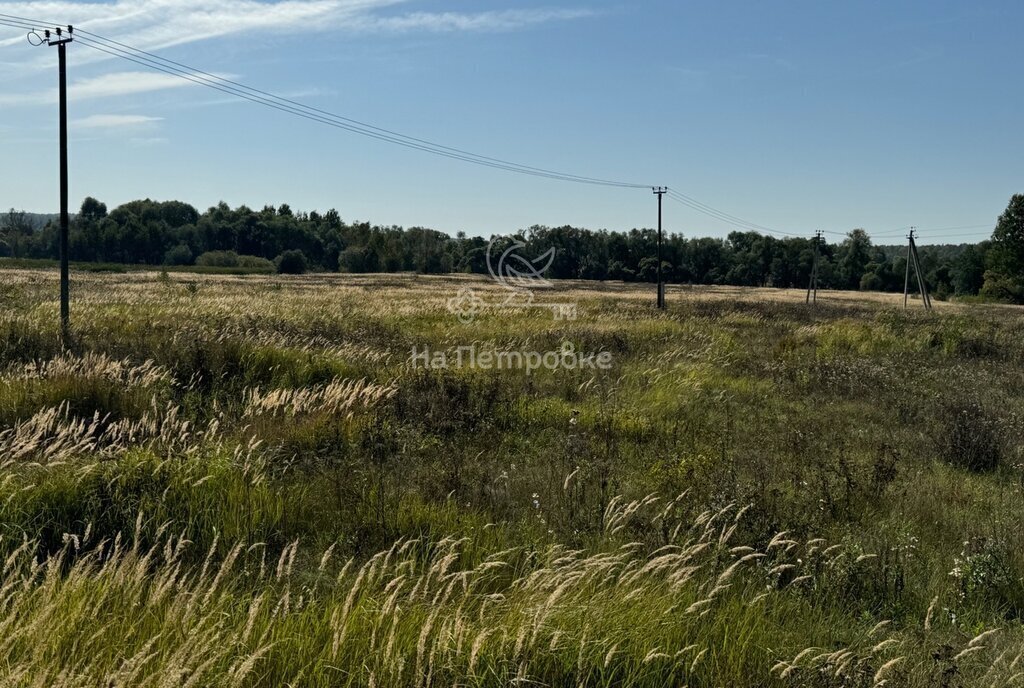 земля городской округ Ступино с Мещерино фото 2