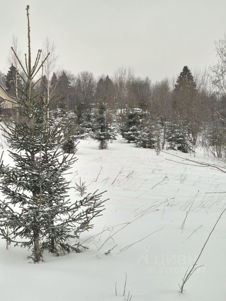 земля ДНТ, Сергиево-Посадский городской округ, Лесная Поляна фото 1