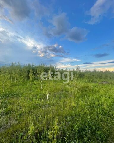 д Апшакбеляк Жемчужная ул фото