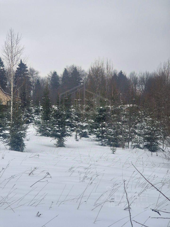 земля ДНТ, Сергиево-Посадский городской округ, Лесная Поляна фото 2