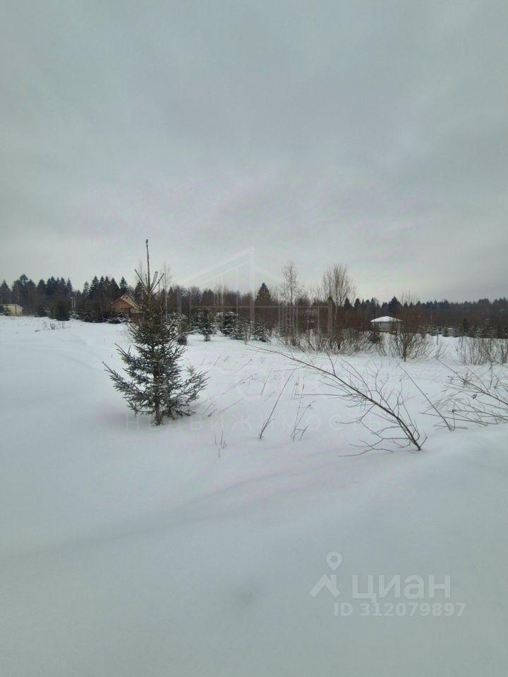 земля ДНТ, Сергиево-Посадский городской округ, Лесная Поляна фото 3