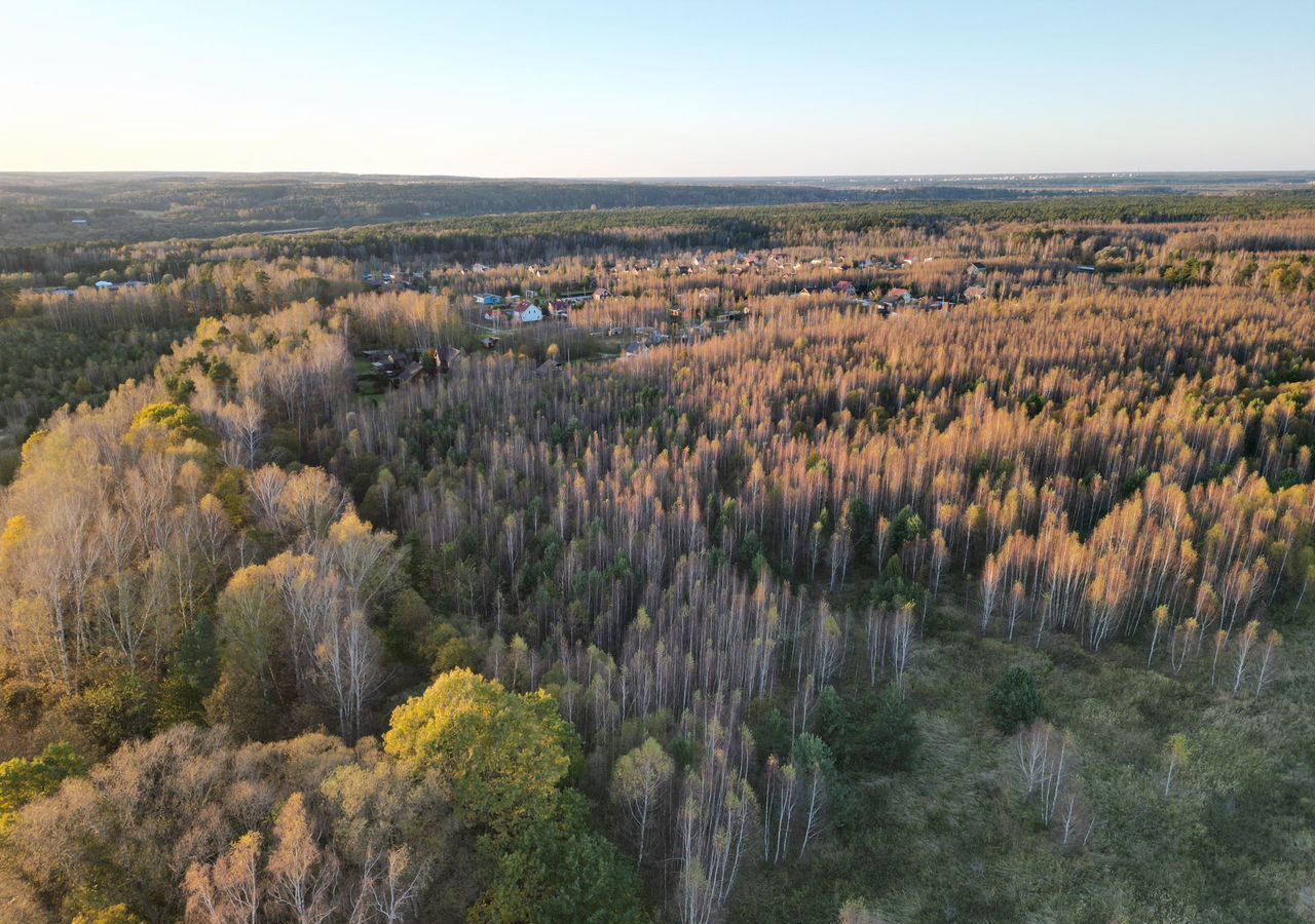 земля городской округ Ступино с Разиньково ул Лесная 52 км, Михнево, Новокаширское шоссе фото 2