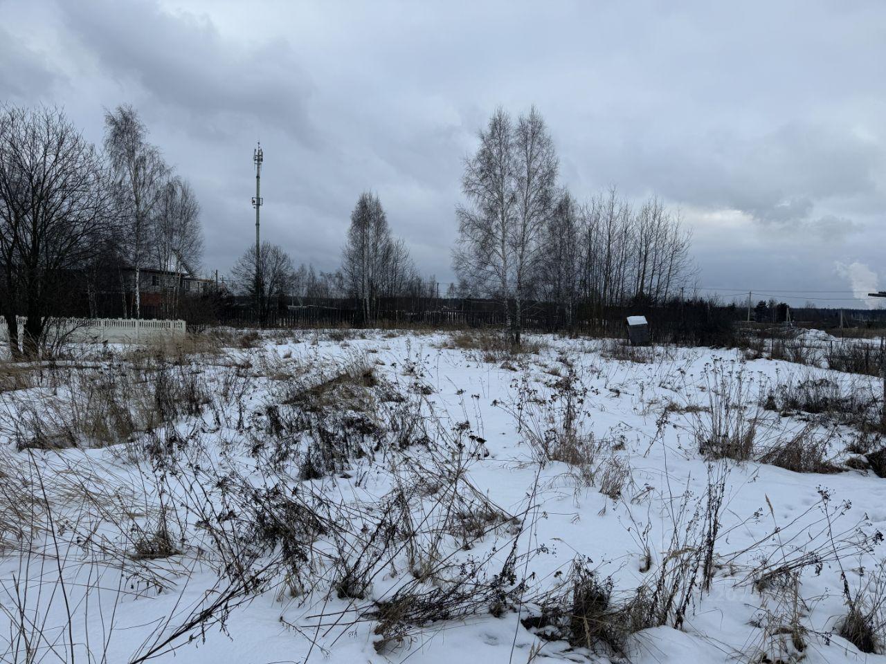 земля городской округ Егорьевск д Станинская 1 фото 3