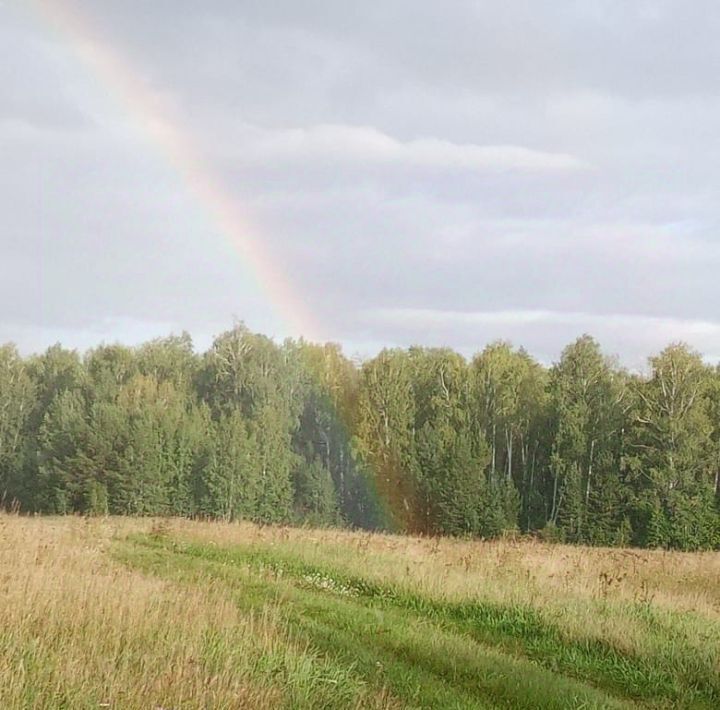 земля р-н Аргаяшский с Кузнецкое Кузнецкое сельское поселение фото 1