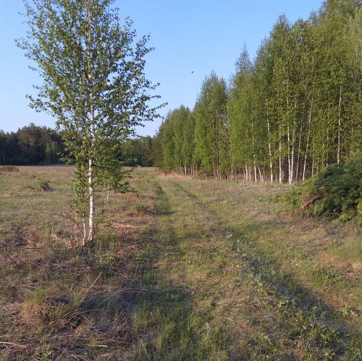 земля р-н Аргаяшский с Кузнецкое Кузнецкое сельское поселение фото 4